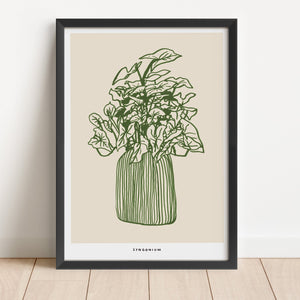 The Syngonium Potted Plant Print