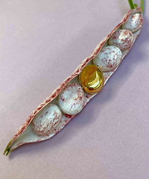 Ceramic Borlotti Bean